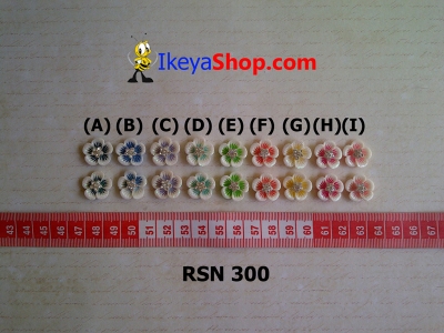 rsn 300  large2